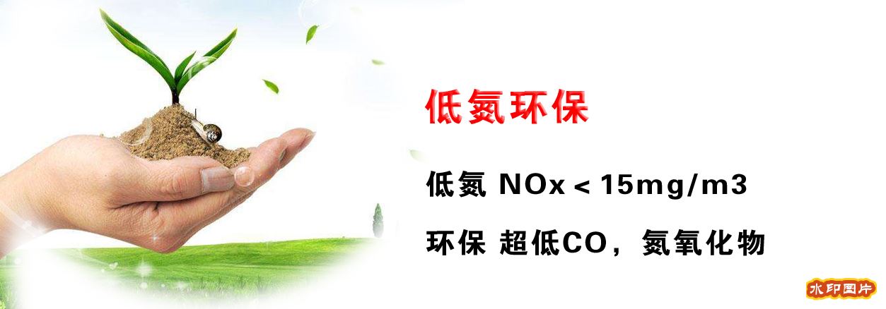 鑄硅鋁燃?xì)忮仩t