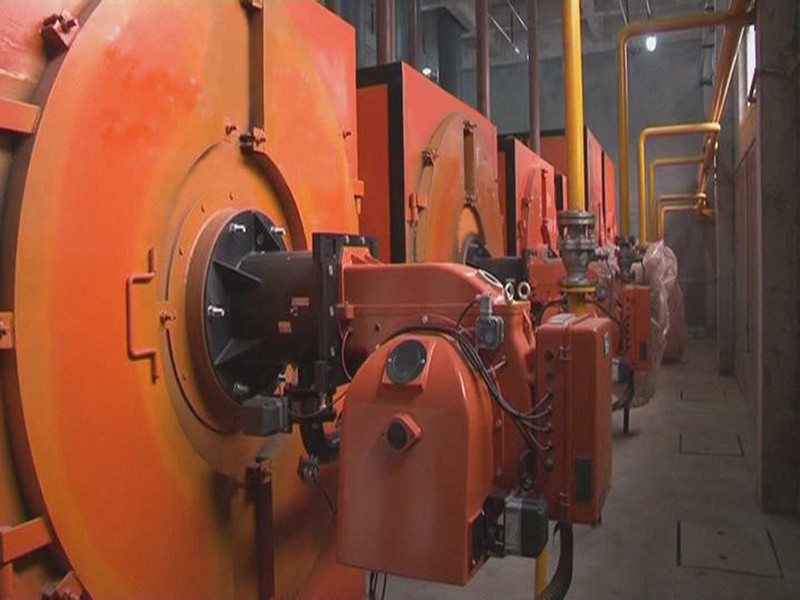 真空相變冷凝燃?xì)忮仩t案例