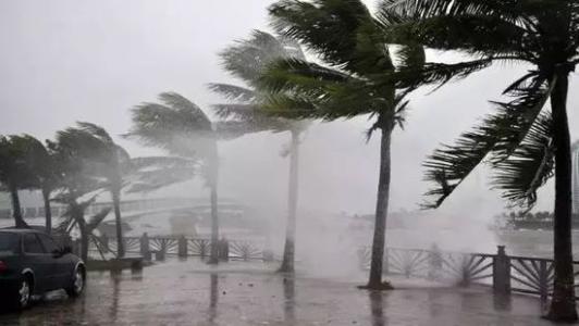 8月臺(tái)風(fēng)雨即將來<div   id=