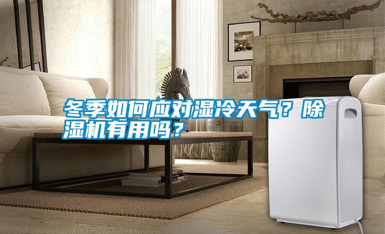 冬季如何應(yīng)對濕冷天氣？除濕機(jī)有用嗎<div   id=