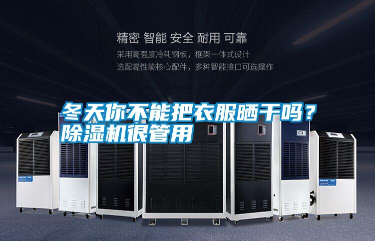 冬天你不能把衣服曬干嗎?除濕機很管用