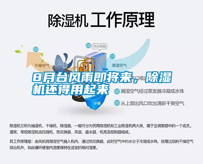 8月臺風(fēng)雨即將來<div   id=