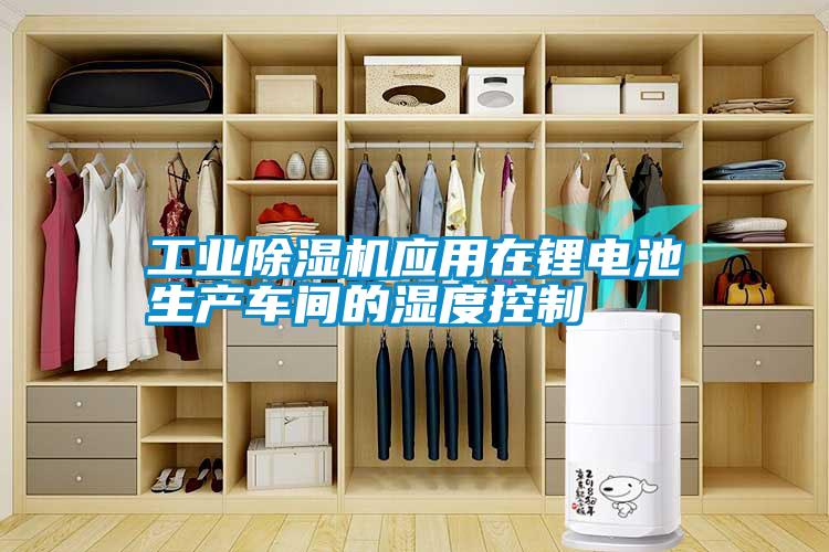 工業(yè)除濕機(jī)應(yīng)用在鋰電池生產(chǎn)車(chē)間的濕度控制
