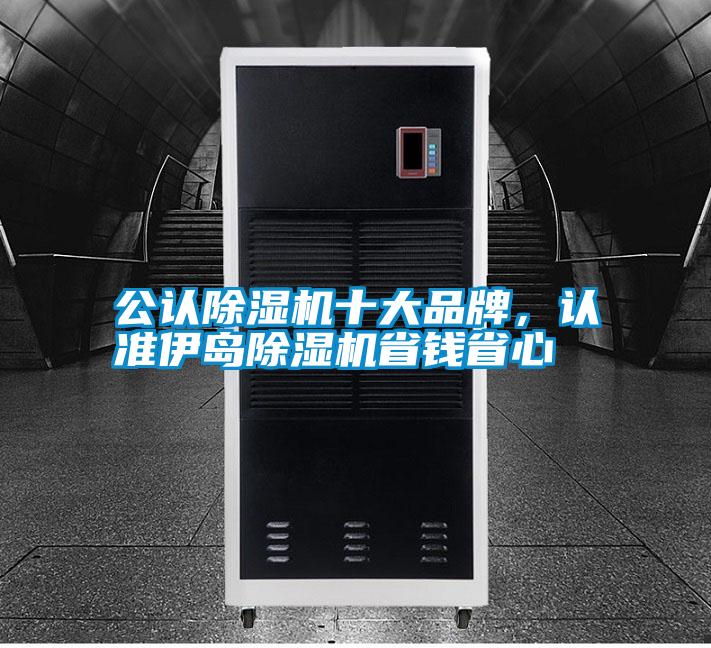 公認(rèn)除濕機(jī)十大品牌<div   id=