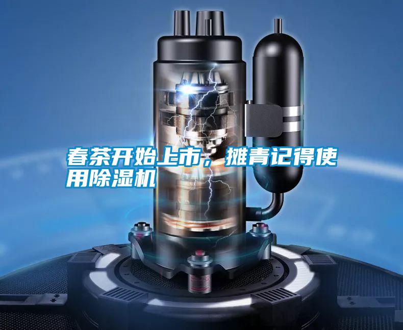 春茶開始上市<div   id=