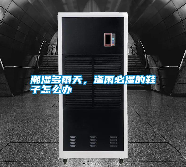 潮濕多雨天<div   id=