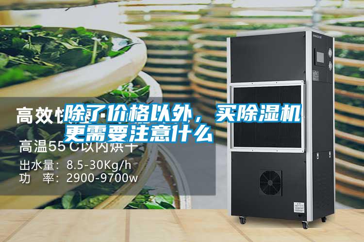 除了價格以外<div   id=