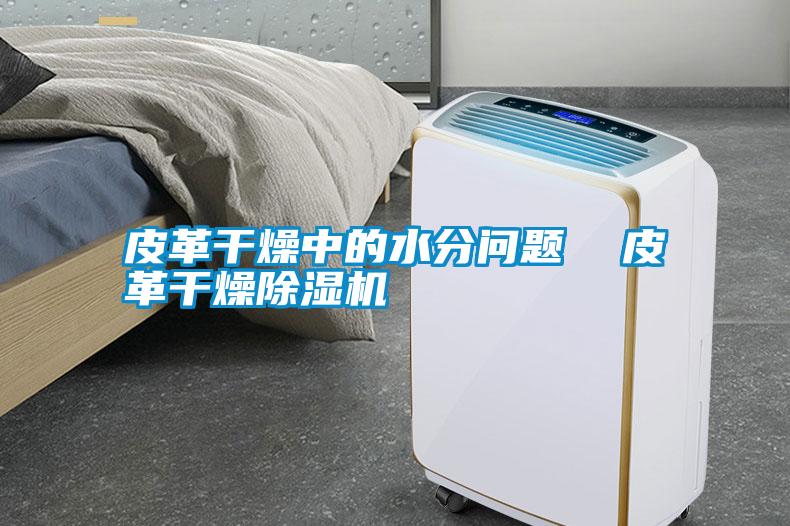 皮革干燥中的水分問(wèn)題 皮革干燥除濕機(jī)