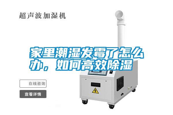 家里潮濕發(fā)霉了怎么辦<div   id=