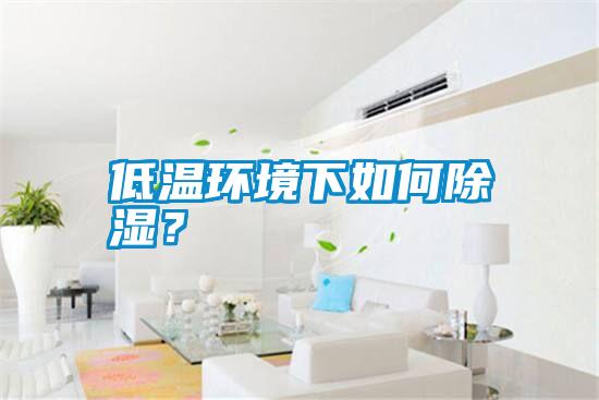 低溫環(huán)境下如何除濕<div   id=