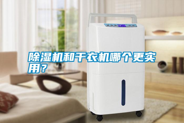 除濕機(jī)和干衣機(jī)哪個(gè)更實(shí)用?