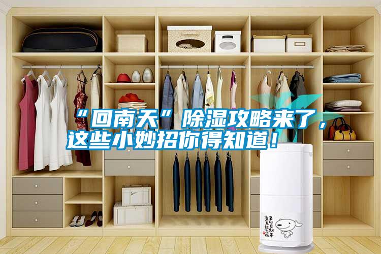 “回南天”除濕攻略來了<div   id=