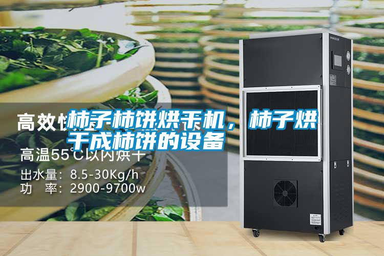 柿子柿餅烘干機(jī)<div   id=