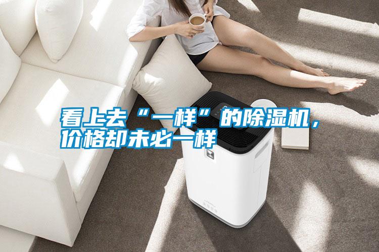 看上去“一樣”的除濕機(jī)<div   id=