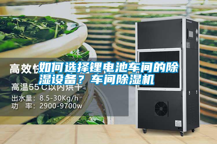 如何選擇鋰電池車(chē)間的除濕設(shè)備?車(chē)間除濕機(jī)