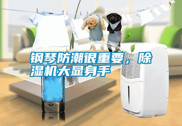 鋼琴防潮很重要<div   id=