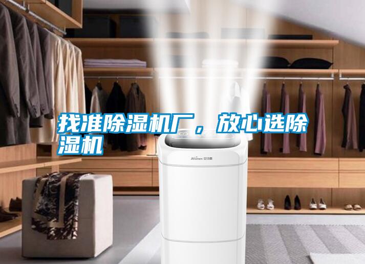 找準(zhǔn)除濕機(jī)廠<div   id=