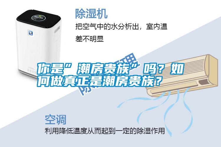 你是”潮房貴族”嗎？如何做真正是潮房貴族<div   id=