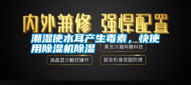 潮濕使木耳產(chǎn)生毒素<div   id=