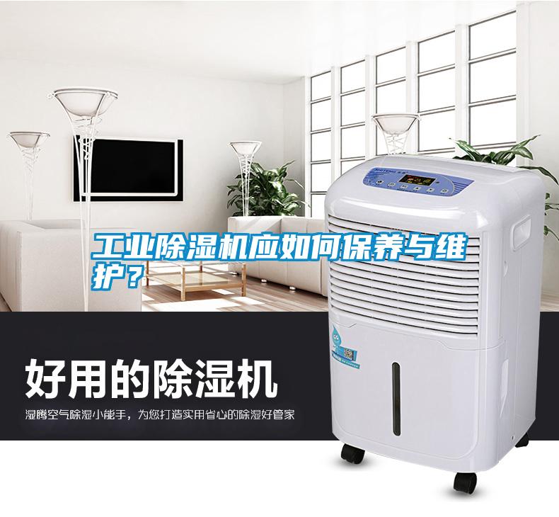 工業(yè)除濕機(jī)應(yīng)如何保養(yǎng)與維護(hù)<div   id=