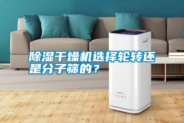 除濕干燥機(jī)選擇輪轉(zhuǎn)還是分子篩的<div   id=