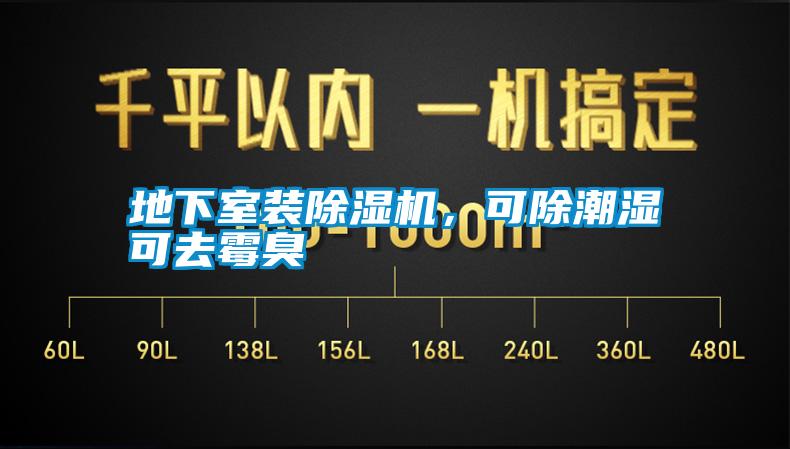 地下室裝除濕機(jī)<div   id=