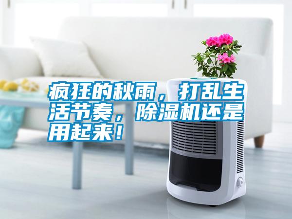 瘋狂的秋雨<div   id=