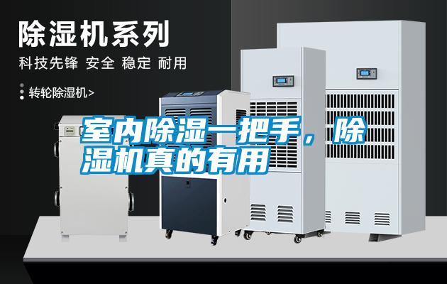 室內(nèi)除濕一把手<div   id=