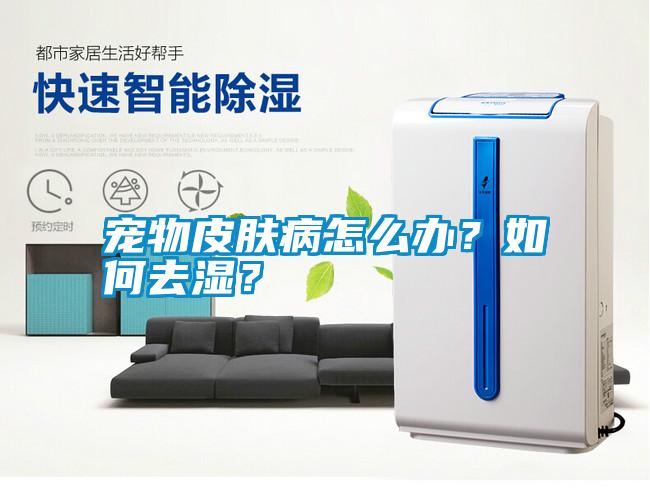 寵物皮膚病怎么辦<div   id=