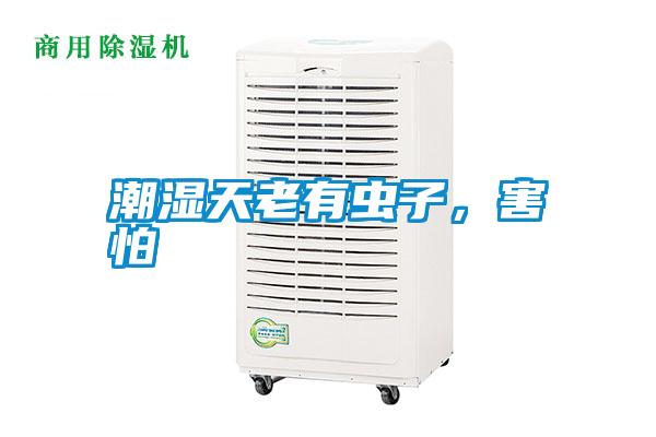 潮濕天老有蟲子<div   id=