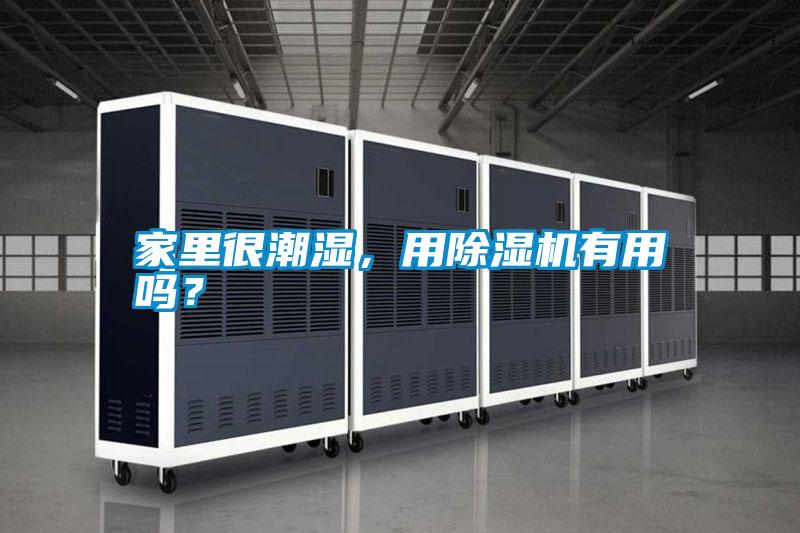 家里很潮濕<div   id=