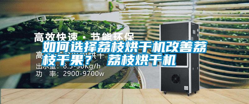 如何選擇荔枝烘干機(jī)改善荔枝干果<div   id=