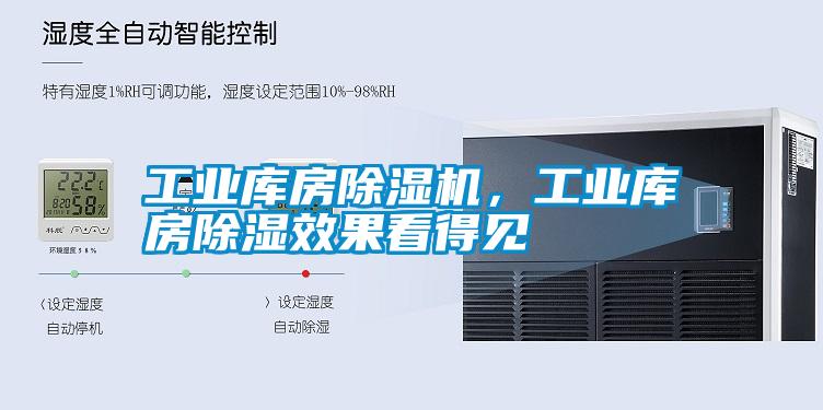 工業(yè)庫房除濕機(jī)<div   id=