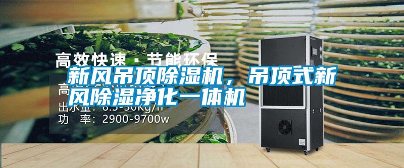 新風(fēng)吊頂除濕機(jī)<div   id=