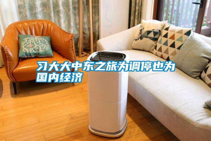 習大大中東之旅為調停也為國內(nèi)經(jīng)濟