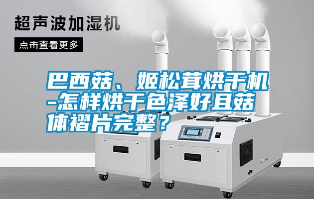 巴西菇、姬松茸烘干機-怎樣烘干色澤好且菇體褶片完整<div   id=