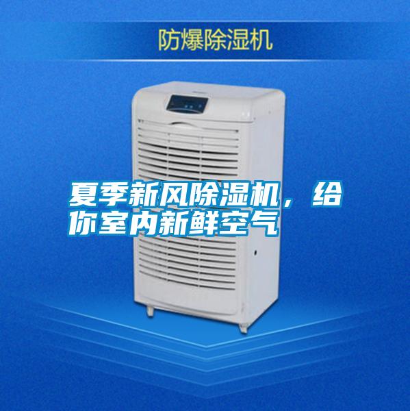 夏季新風(fēng)除濕機<div   id=