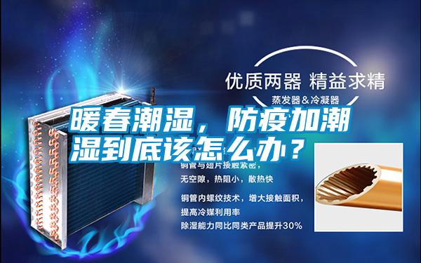 暖春潮濕，防疫加潮濕到底該怎么辦<div   id=