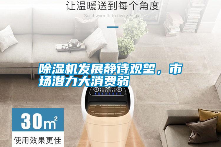 除濕機(jī)發(fā)展靜待觀望<div   id=