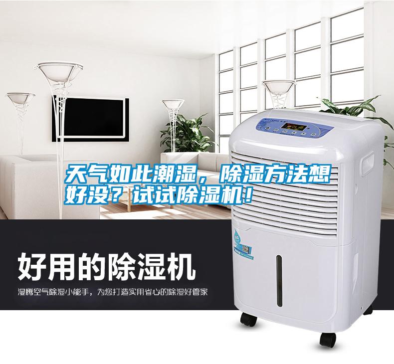 天氣如此潮濕<div   id=