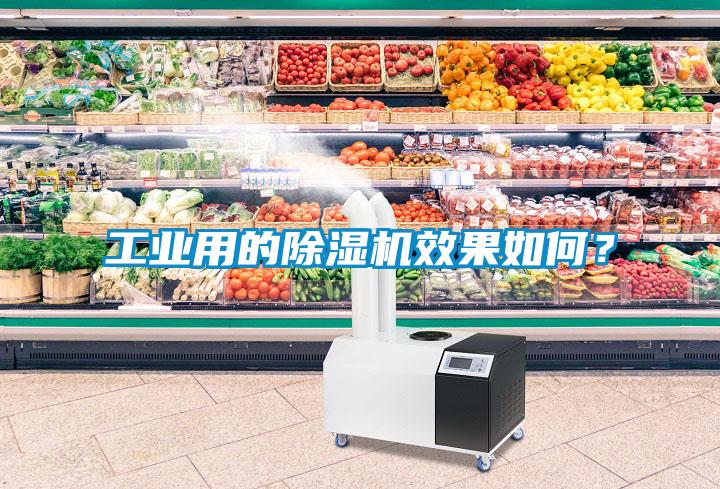 工業(yè)用的除濕機效果如何?
