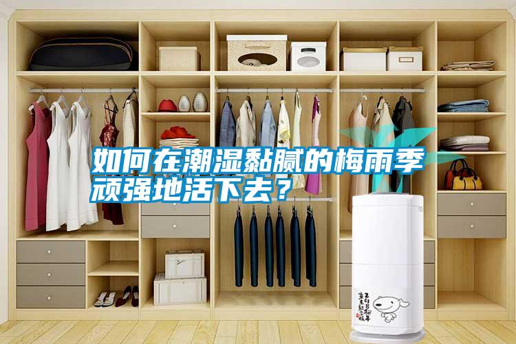 如何在潮濕黏膩的梅雨季頑強(qiáng)地活下去<div   id=