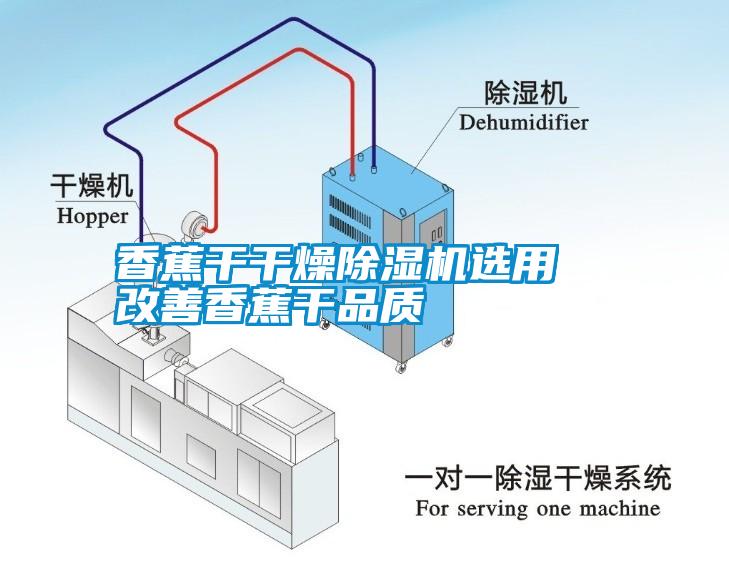 香蕉干干燥除濕機(jī)選用 改善香蕉干品質(zhì)