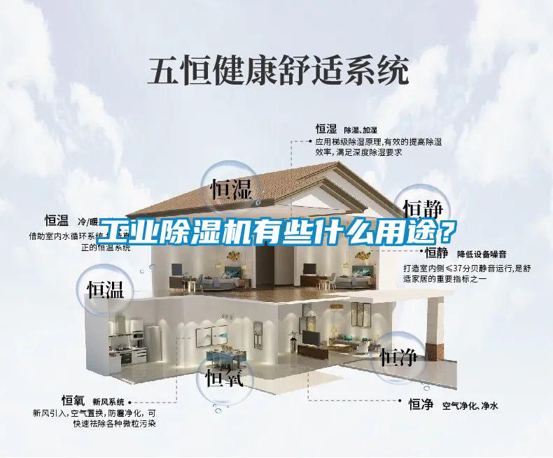 工業(yè)除濕機(jī)有些什么用途<div   id=