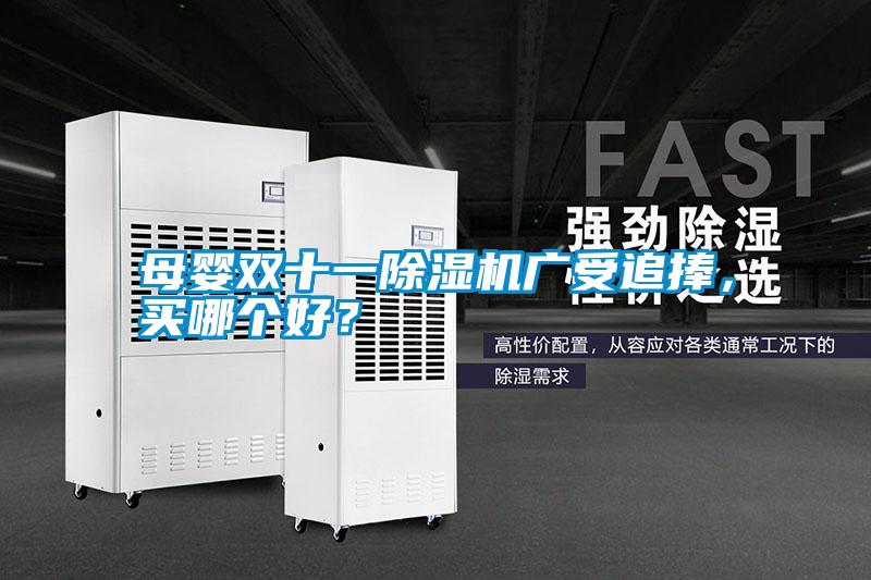 母嬰雙十一除濕機廣受追捧<div   id=