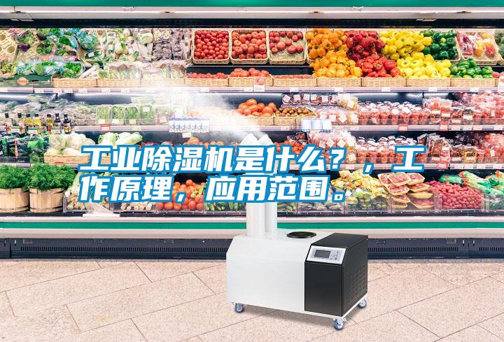 工業(yè)除濕機(jī)是什么<div   id=