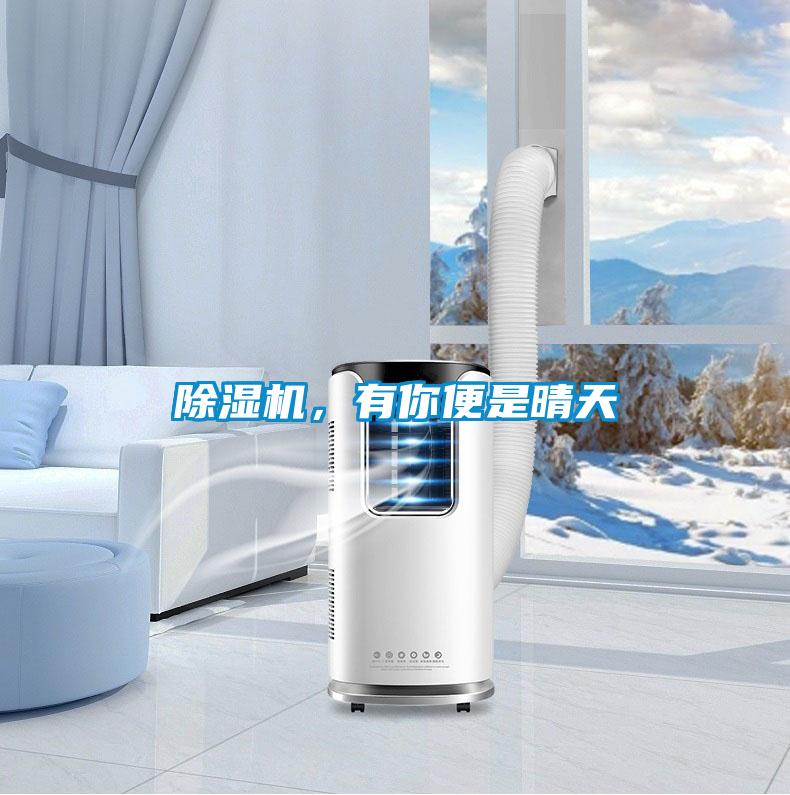 除濕機(jī)<div   id=