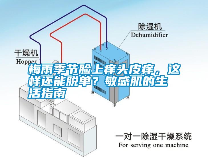 梅雨季節(jié)臉上癢頭皮癢，這樣還能脫單<div   id=