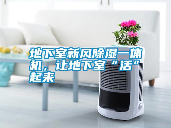 地下室新風(fēng)除濕一體機(jī),讓地下室“活”起來(lái)