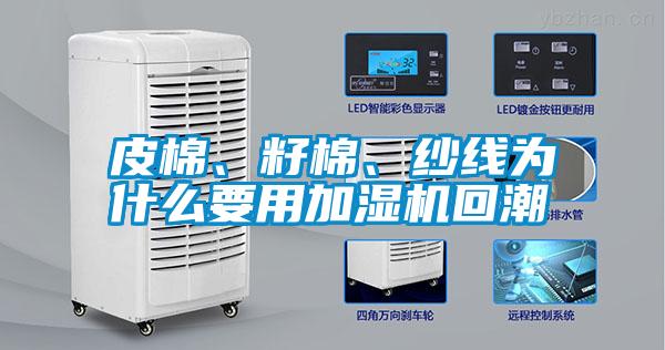 皮棉<div   id=